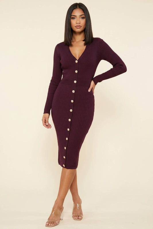 Plum Élan Button-Front Knit Dress